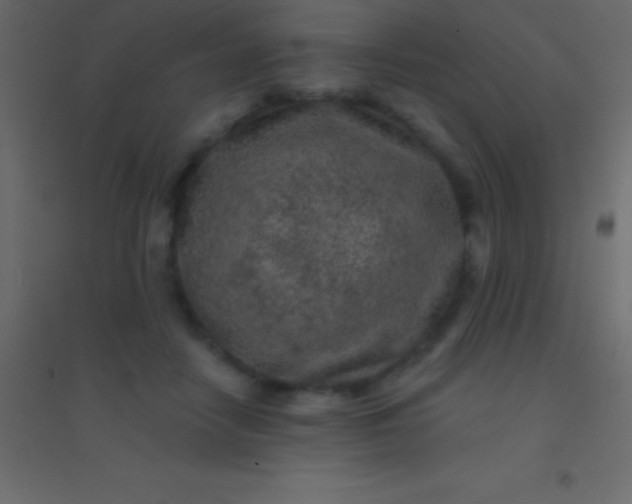 X0000094960458200712131649