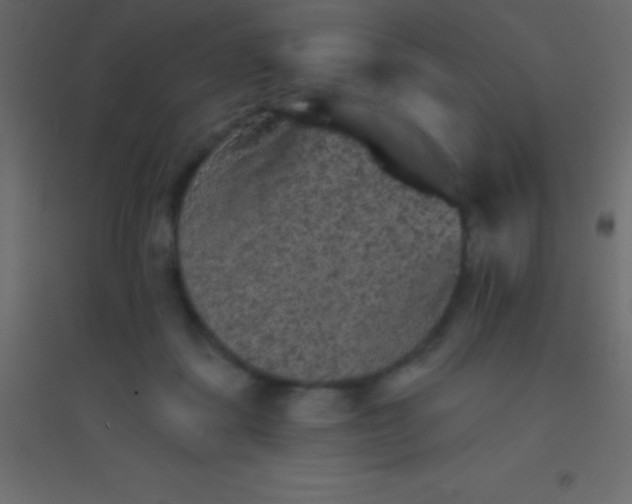 X0000094960459200712131649