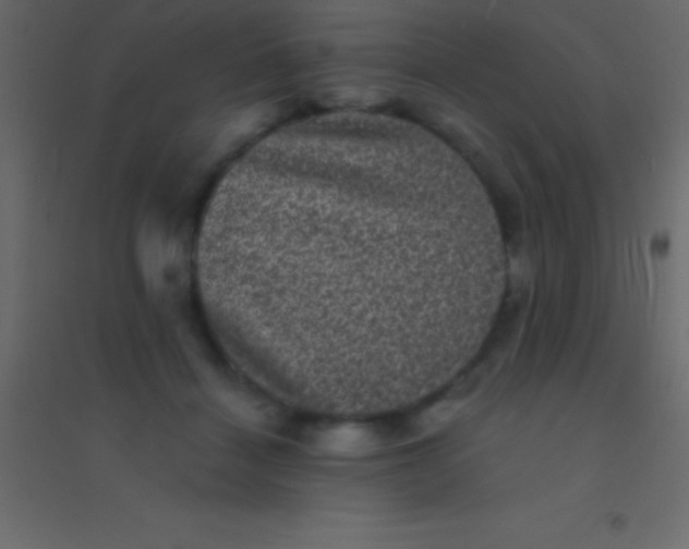 X0000094960460200712131649