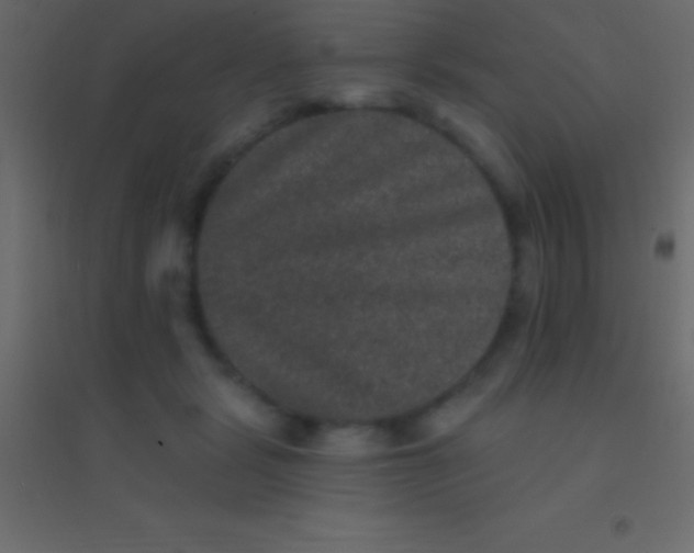 X0000094960461200712131649