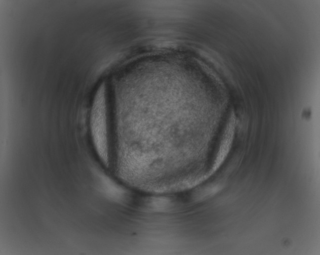 X0000094960462200712131649