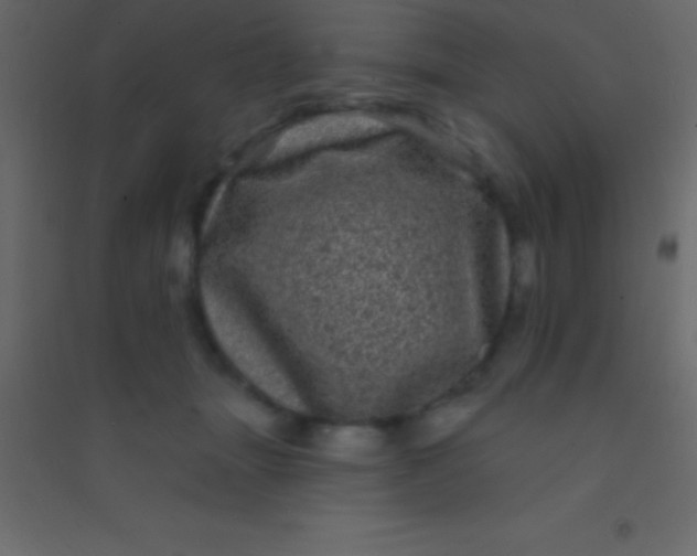 X0000094960463200712131649