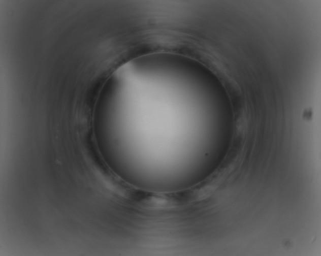 X0000094960464200712131649