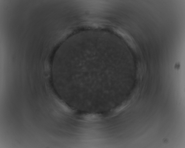 X0000094960465200712131649