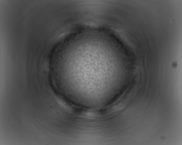 X0000094960466200712131649