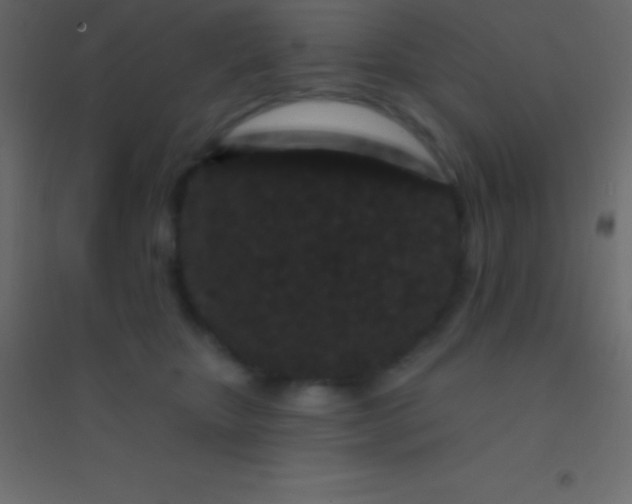 X0000094960467200712131649