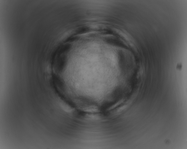 X0000094960469200712131649