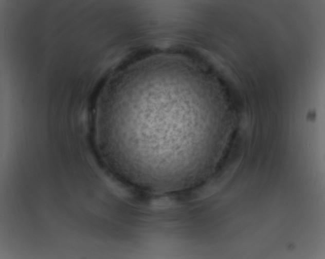 X0000094960470200712131649