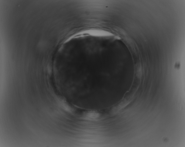 X0000094960471200712131649