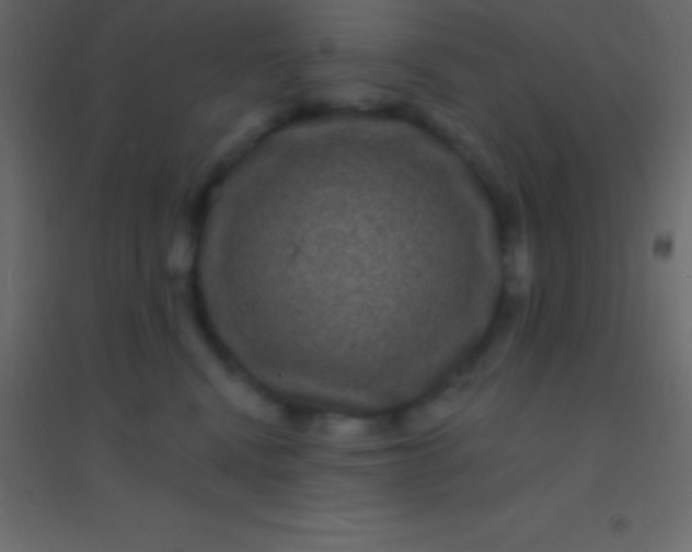 X0000094960472200712131649