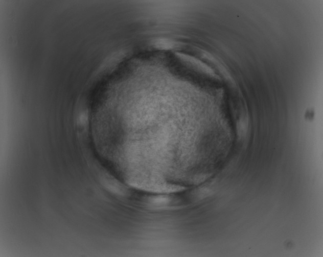 X0000094960473200712131649