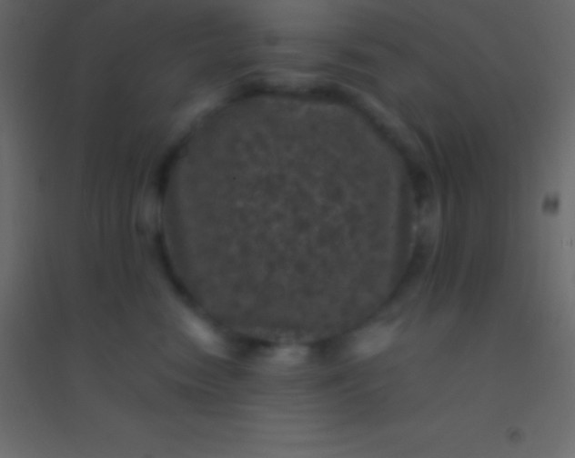 X0000094960474200712131649