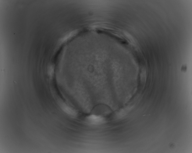 X0000094960477200712131649