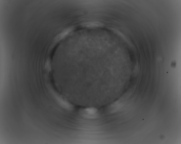 X0000094960478200712131649