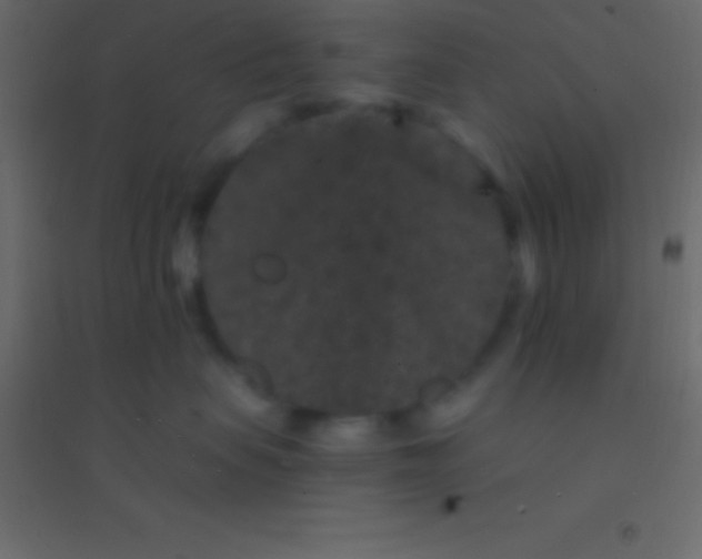 X0000094960479200712131649