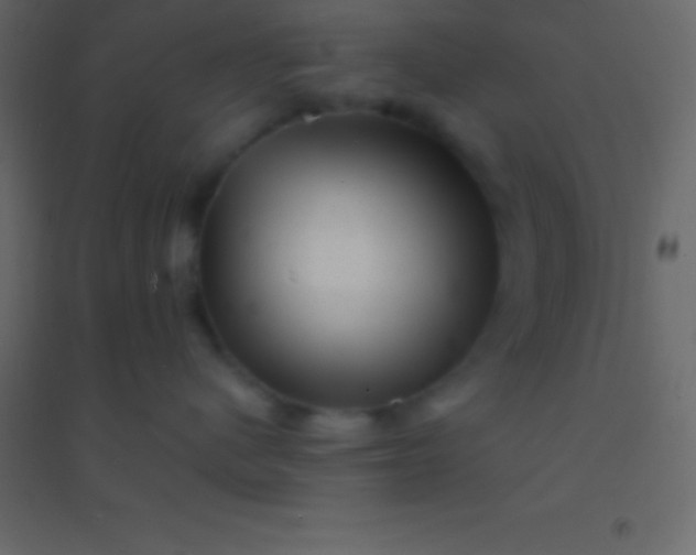 X0000094960480200712131649