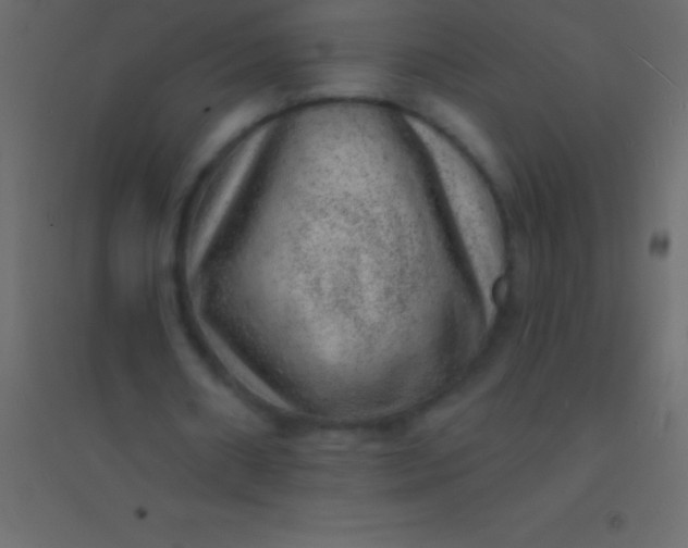 X0000094960482200712131648