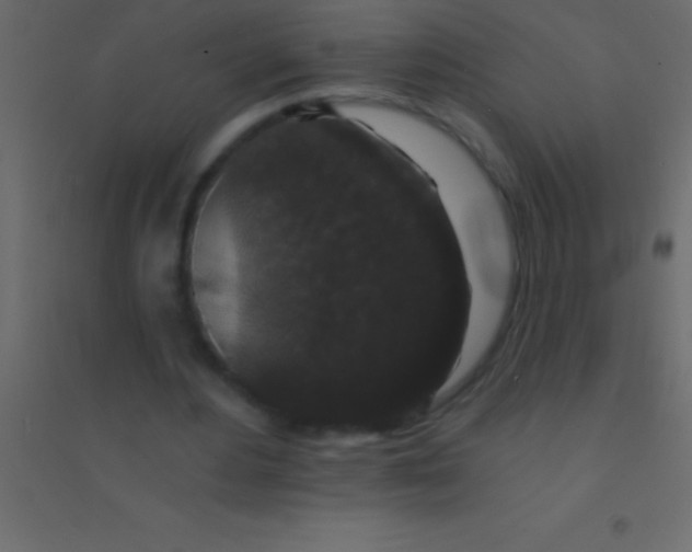 X0000094960484200712131648