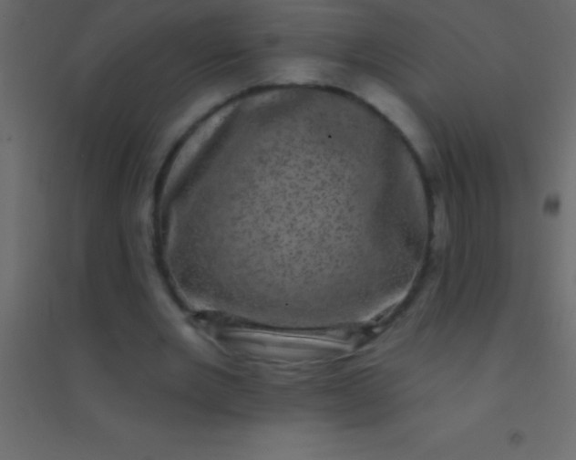 X0000094960485200712131648