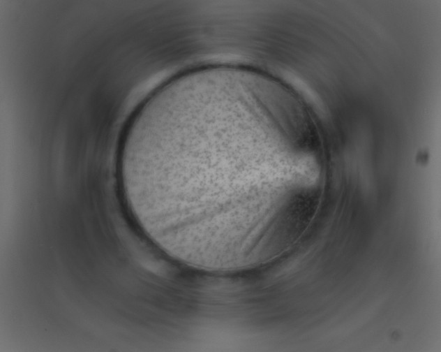 X0000094960486200712131648