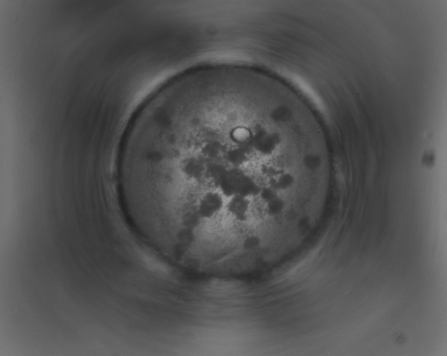 X0000094960487200712131648