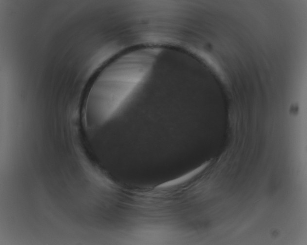 X0000094960488200712131648