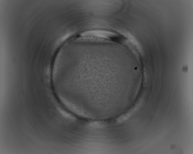 X0000094960489200712131648