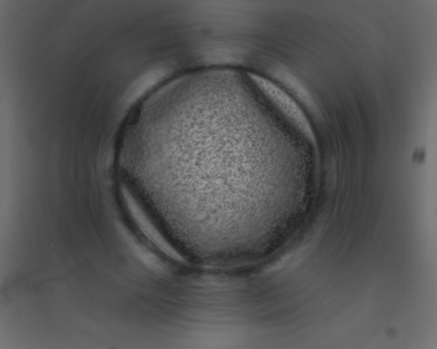 X0000094960490200712131648