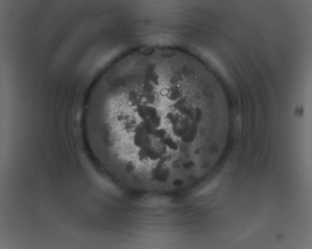 X0000094960491200712131648