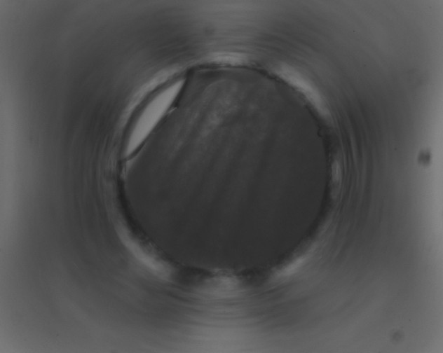 X0000094960492200712131648