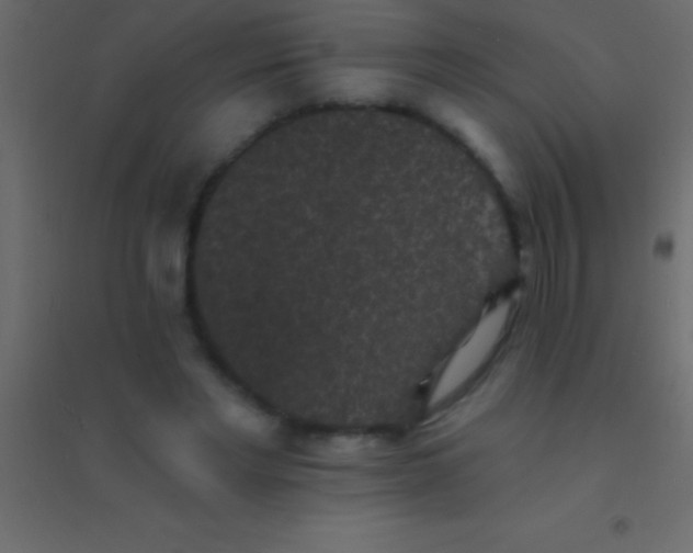 X0000094960493200712131648