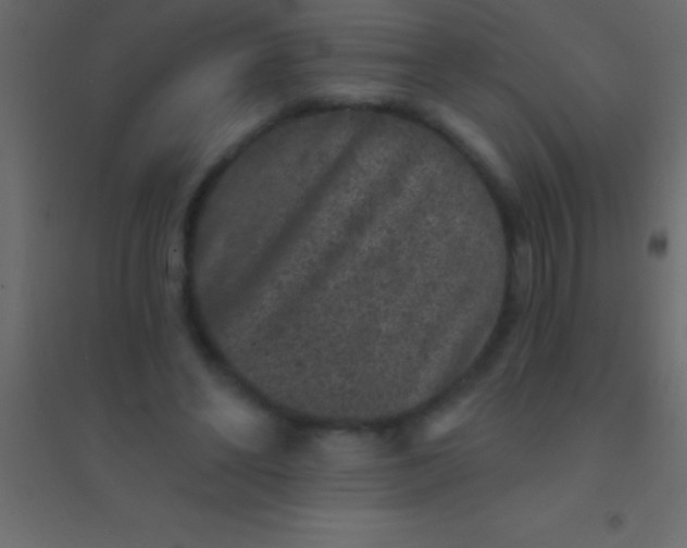 X0000094960494200712131648