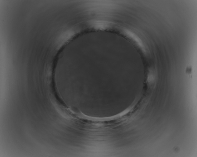 X0000094960496200712131648