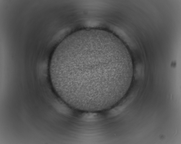 X0000094960497200712131648