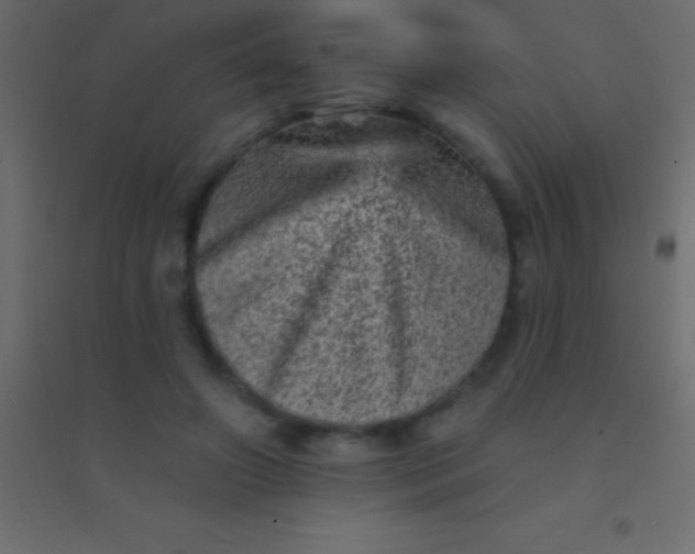 X0000094960498200712131648