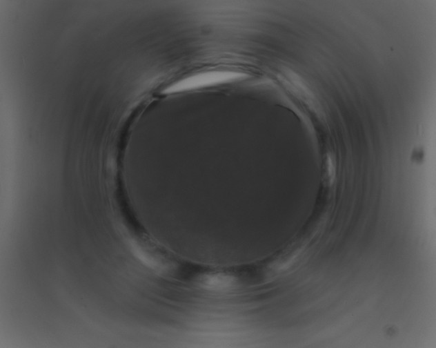 X0000094960500200712131648