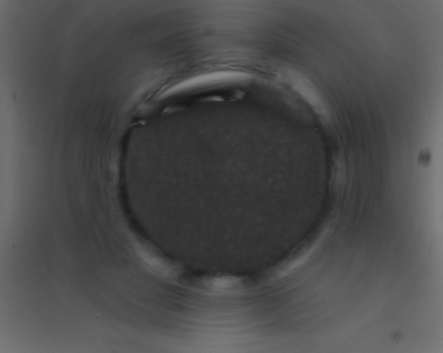 X0000094960501200712131648