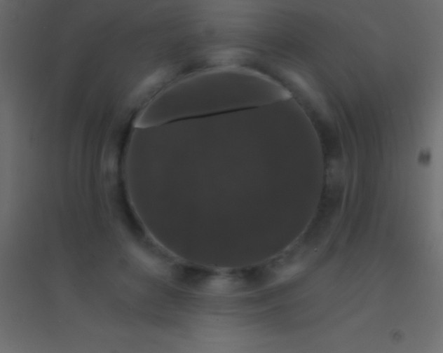 X0000094960504200712131648