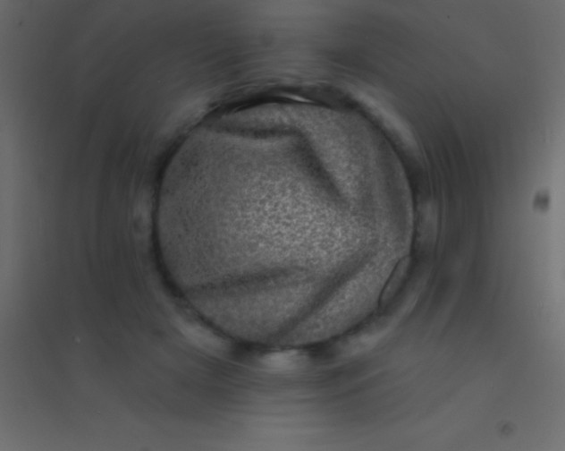 X0000094960505200712131648