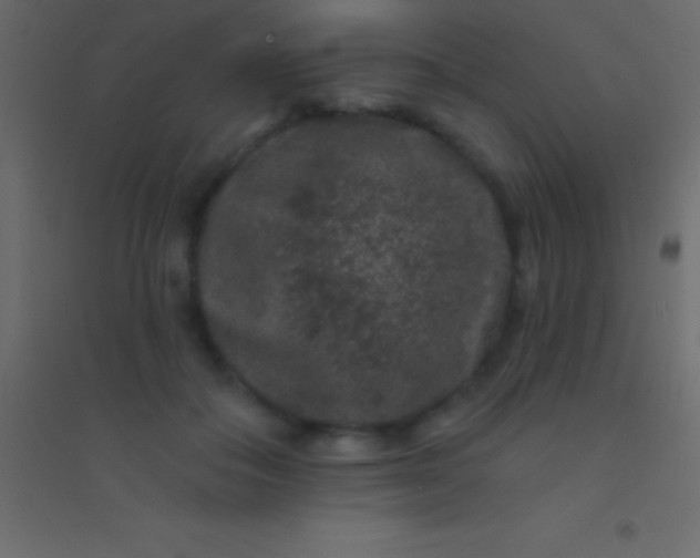 X0000094960506200712131648