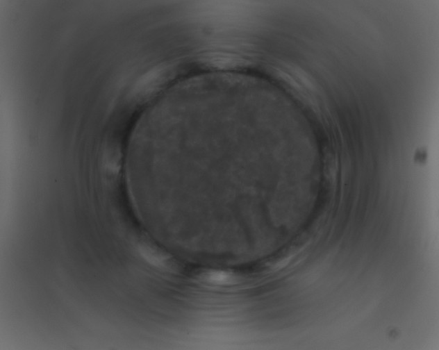 X0000094960507200712131648