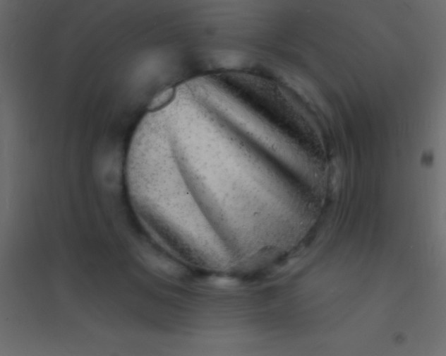 X0000094960509200712131648