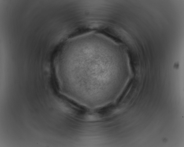 X0000094960510200712131648