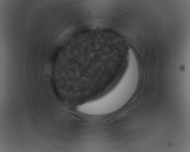 X0000094960511200712131648