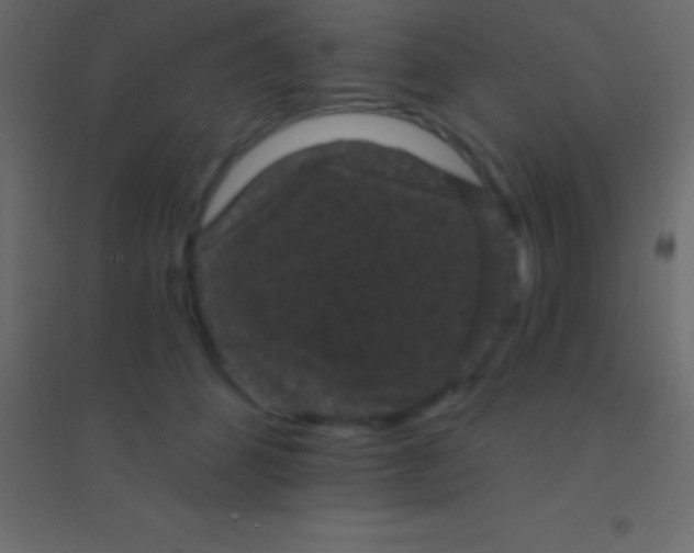 X0000094960512200712131648