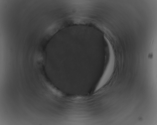 X0000094960513200712131648