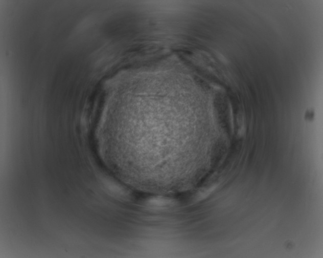 X0000094960515200712131648