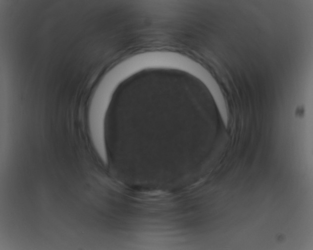 X0000094960516200712131648