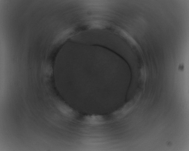 X0000094960517200712131648