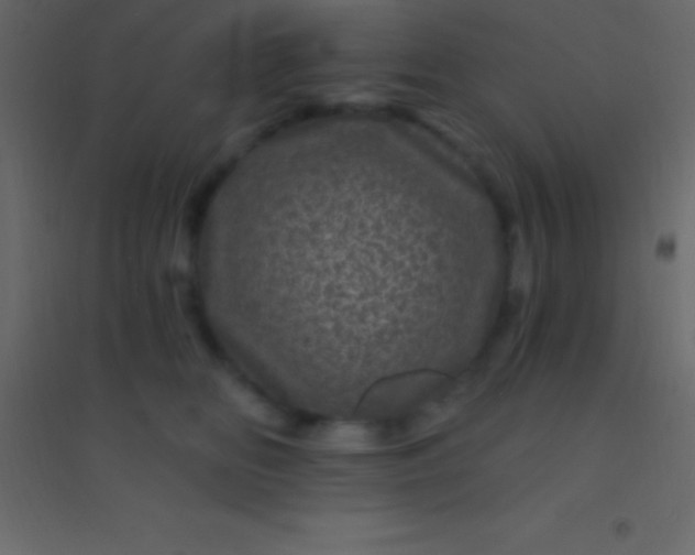 X0000094960518200712131648